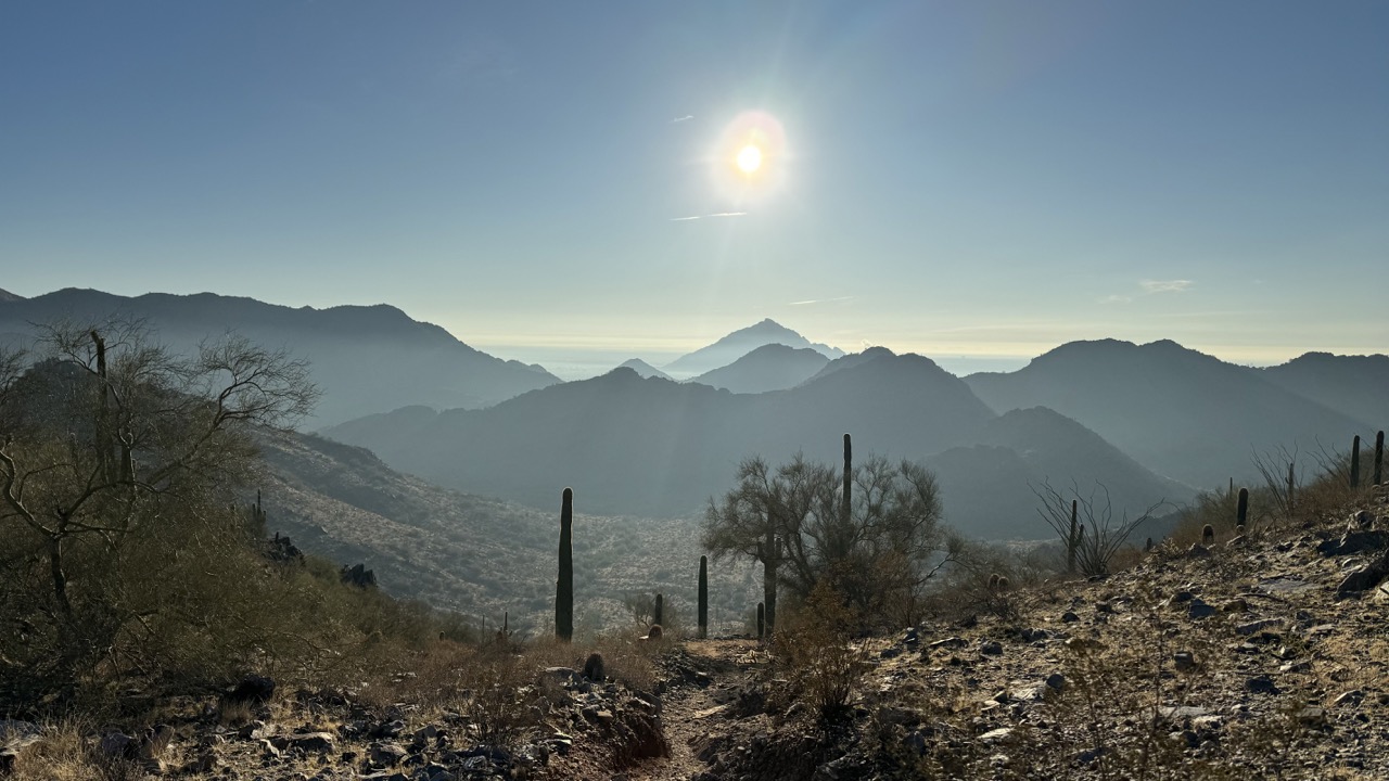 Pistewa Peak Phoenix