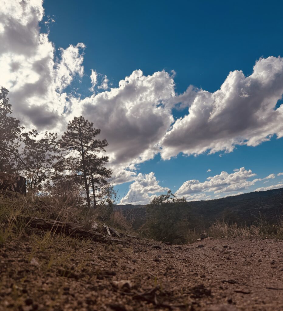 Womens Wellness Workshops