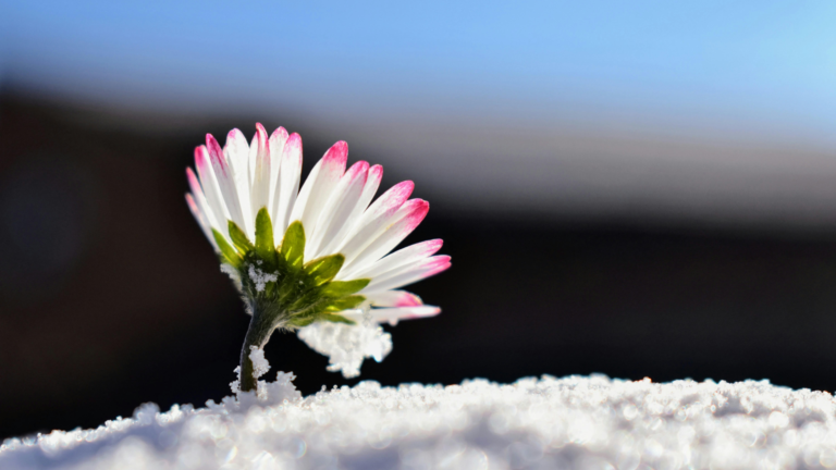 Yoga instructor reflecting on perimenopause transition and wellness during the spring season.